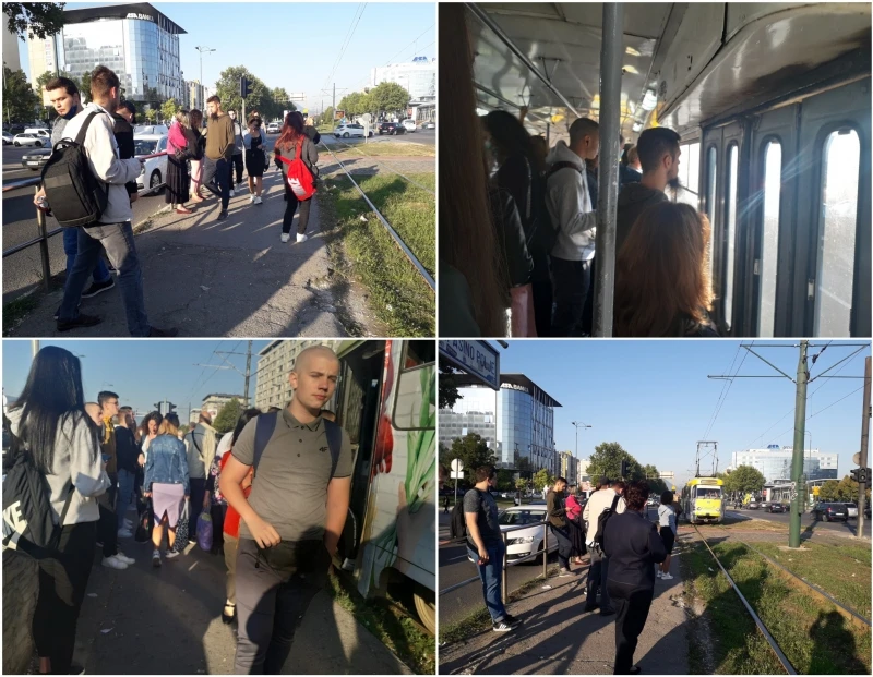 Gužve, tramvaji 