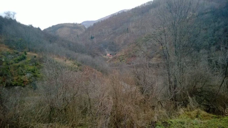 Delijaš kod Trnova