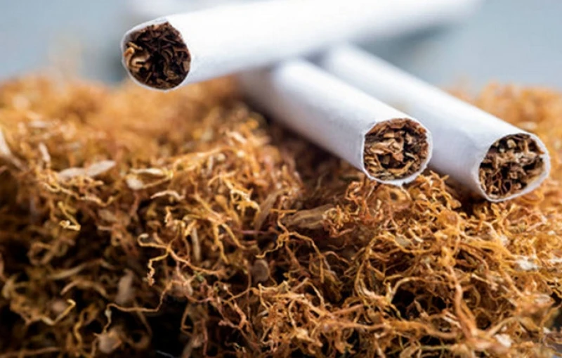 Cigarete i duhan