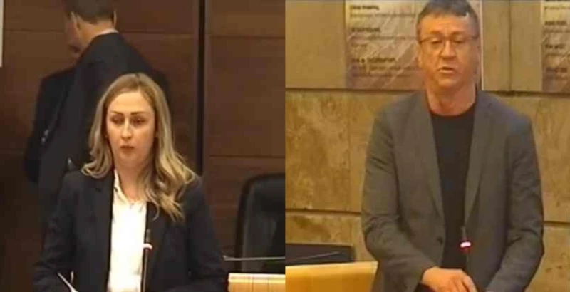 Elma Đogić, Hamdija Avdić 