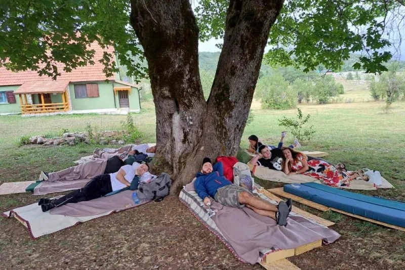 Takmičenje u ležanju