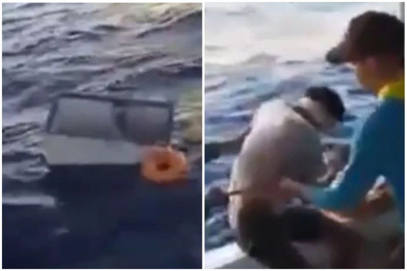 Ribar spašen iz frižidera