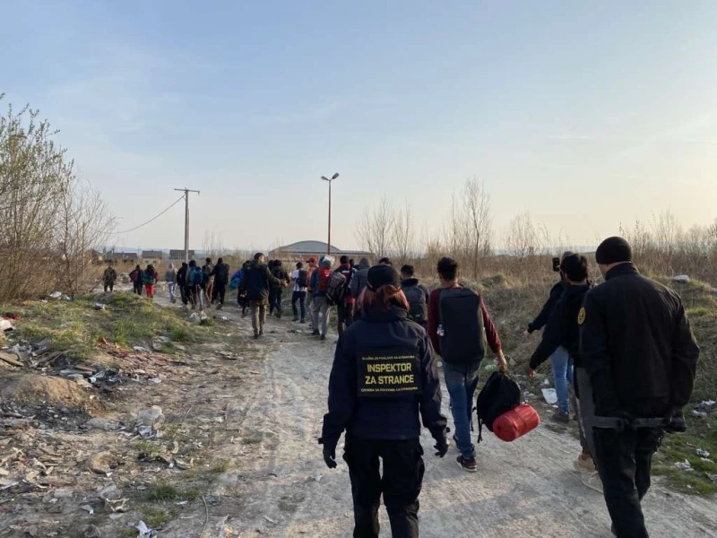 migranti