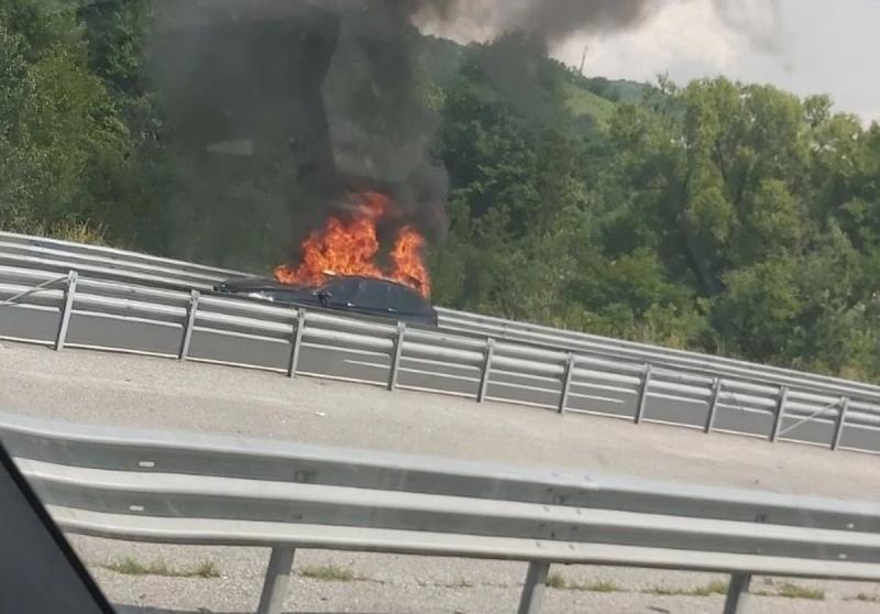 Gori automobil na autocesti