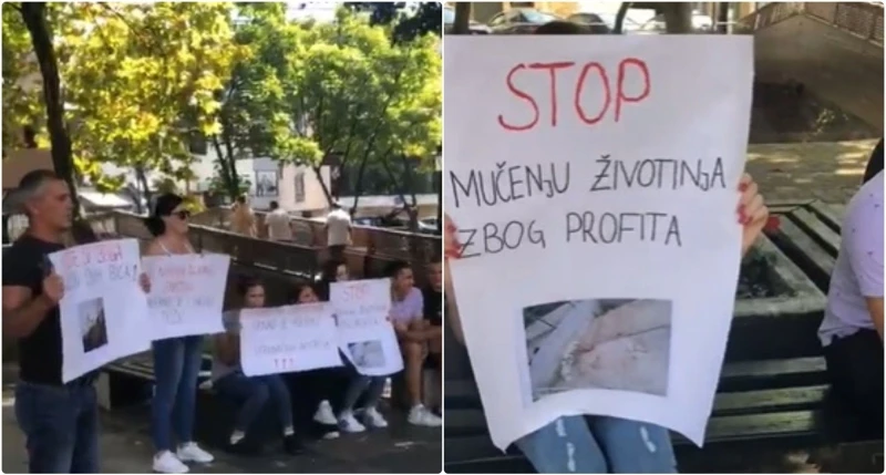 Protesti Tešanj 