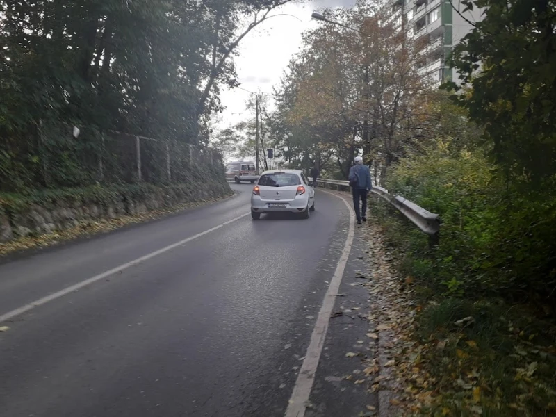 Kraljice Jelene ulica 