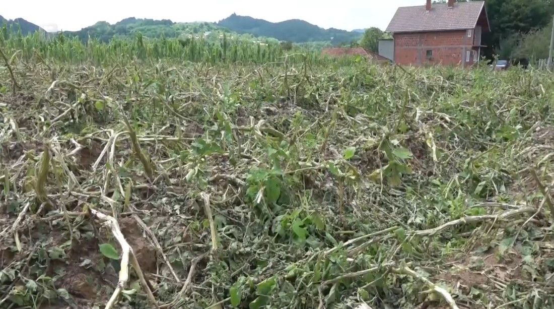 Usjevi uništeni 90 do sto posto, povratnici očajni
