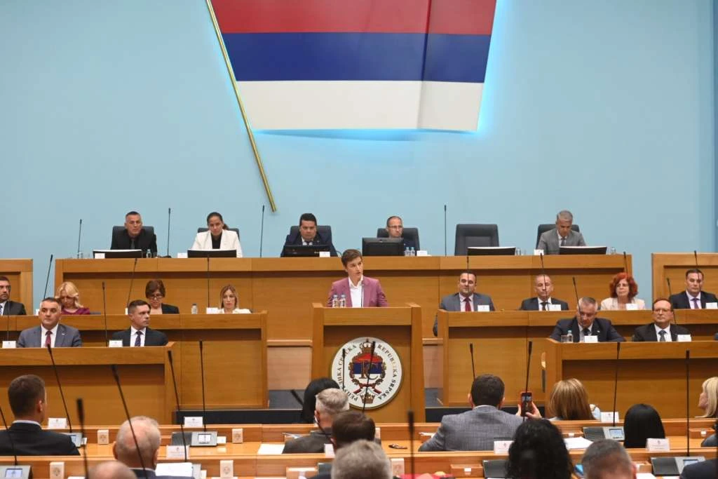 Ana Brnabić u NSRS-u
