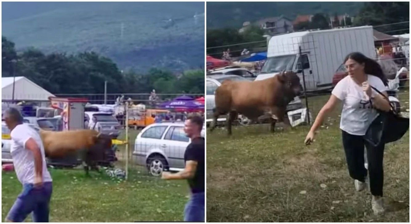 U prvoj borbi bikova dogodio se incident