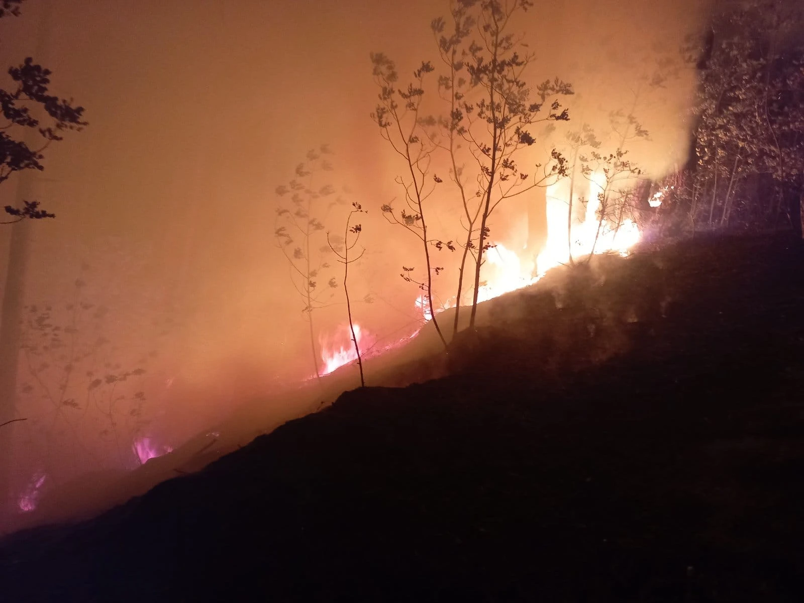 Požar u Konjicu