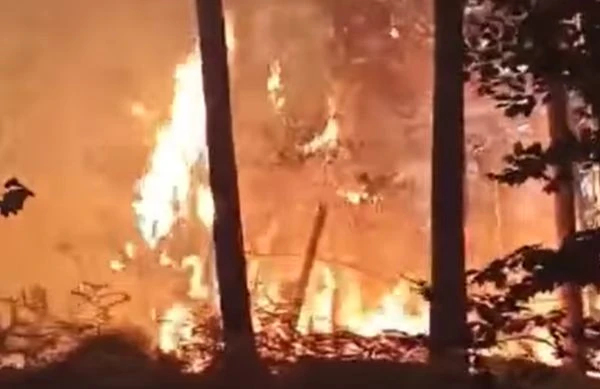 Stanovnici su u panici i boje se da požar ne dođe do njihovih kuća