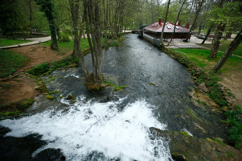 Vrelo Bosne