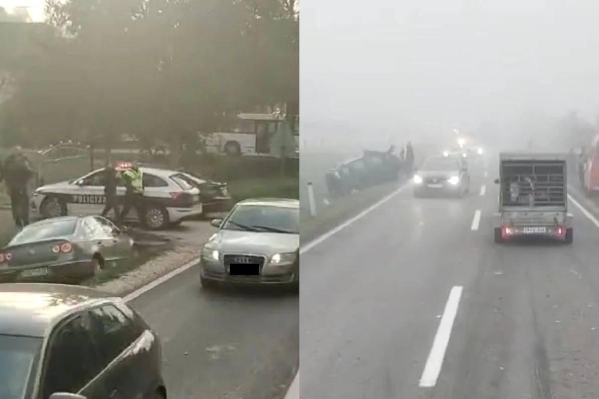 Udes kod Kalesije i u Puračiću