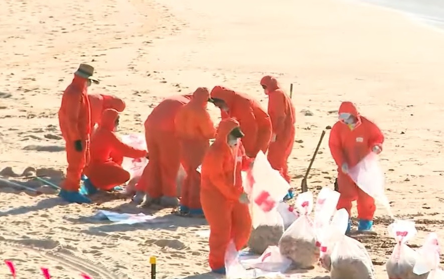 Ne smiju se diratiNa plažama u Sydneju pojavile se misteriozne crne loptice, nadležni otkrili o čemu se radi