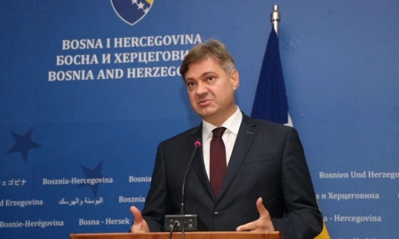 Denis Zvizdić