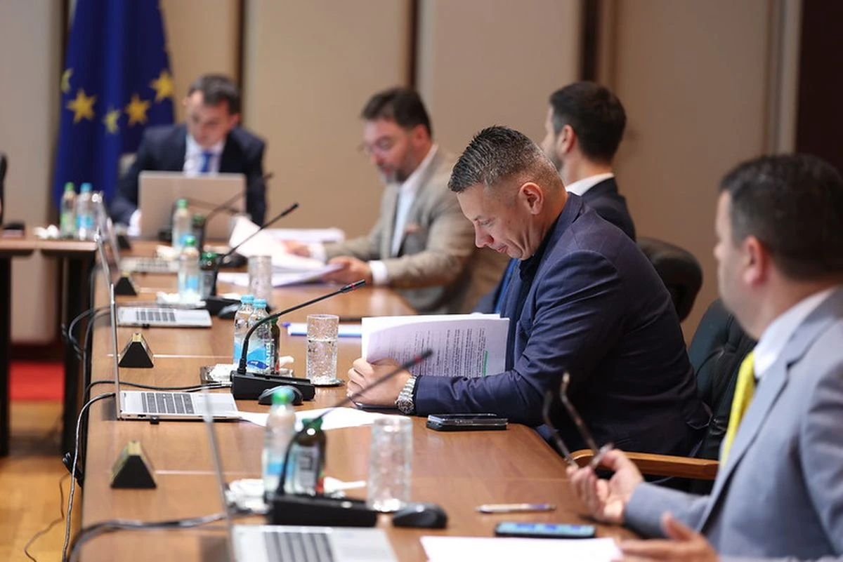 Nenad Nešić u Vijeću ministara BiH