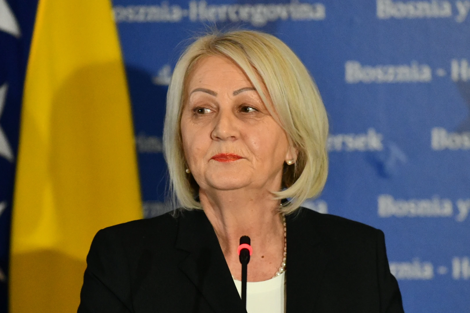 Borjana Krišto