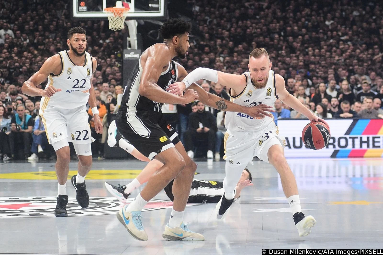 Uskoro kreće evropska NBA liga