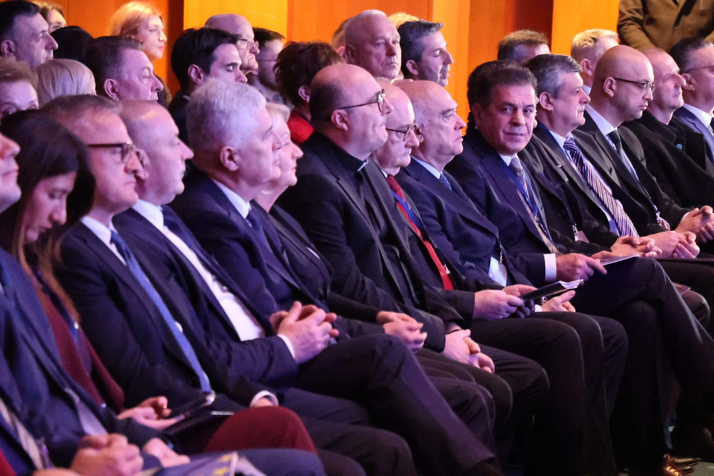 Hrvatski narodni sabor u