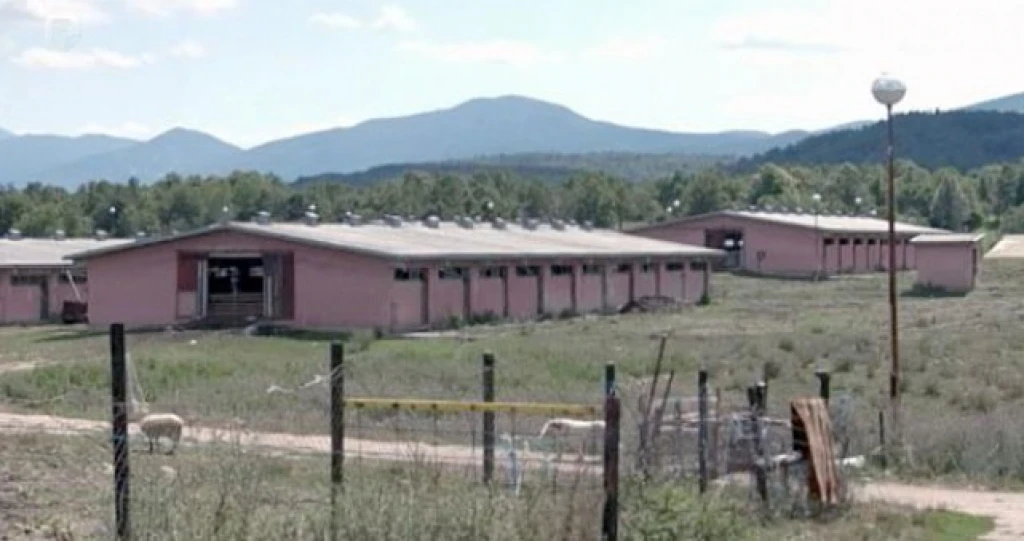 Medeno polje