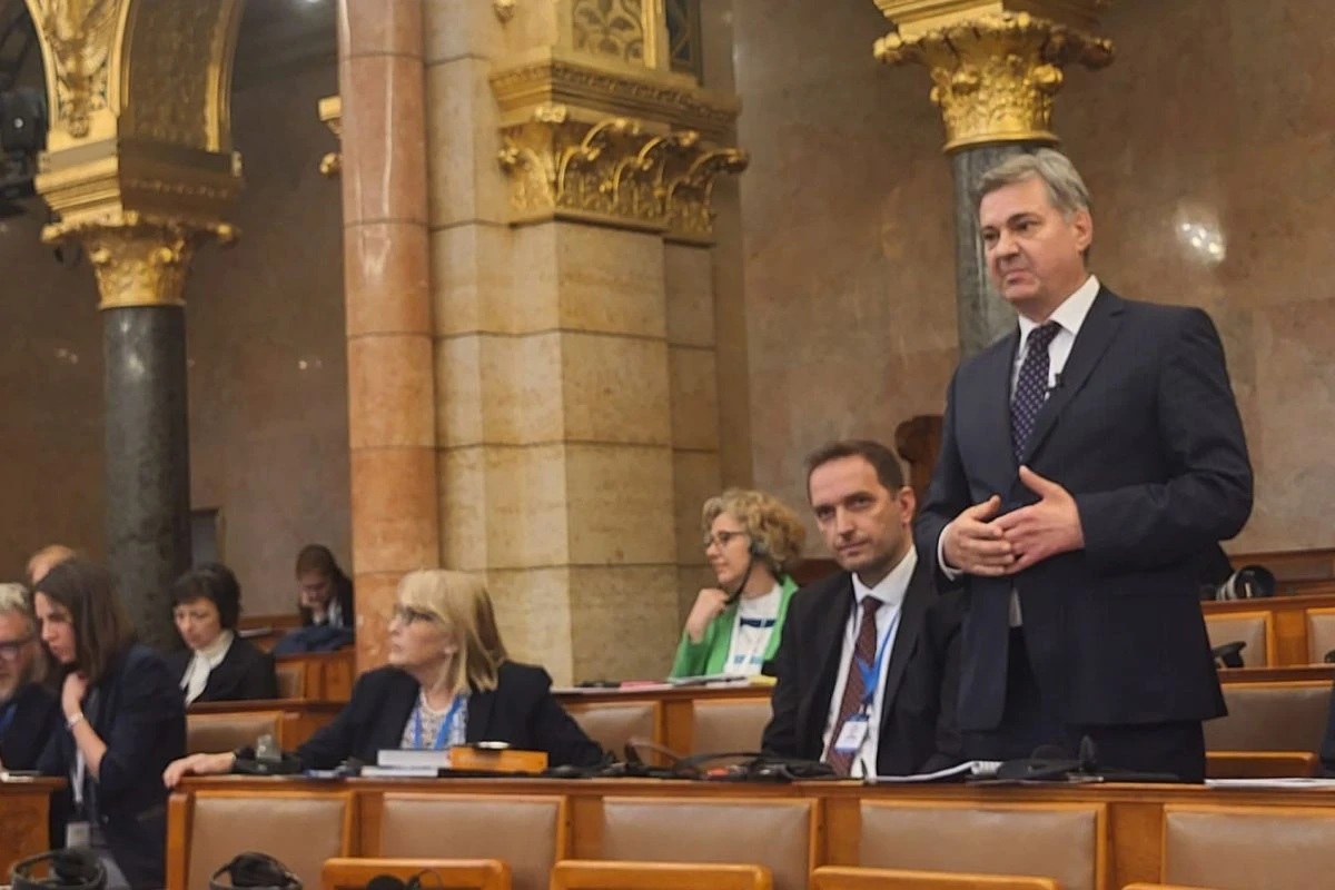 Zvizdić tokom obraćanja u Budimpešti