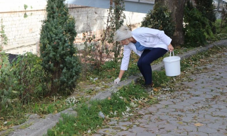 U Sarajevu je povećan broj glodara