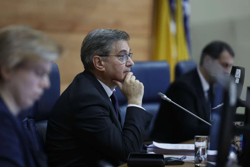 Denis Zvizdić
