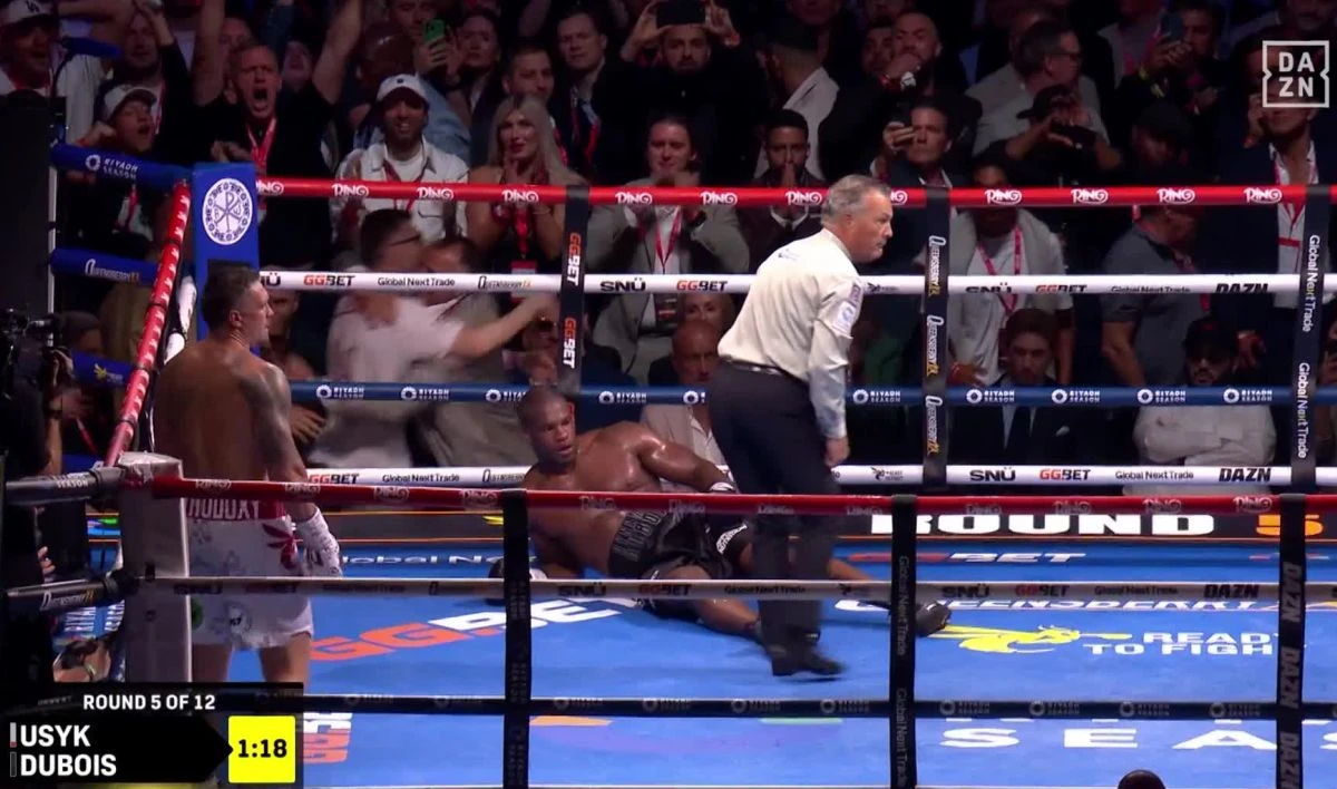 Usik "uspavao" protivnika u petoj rundi