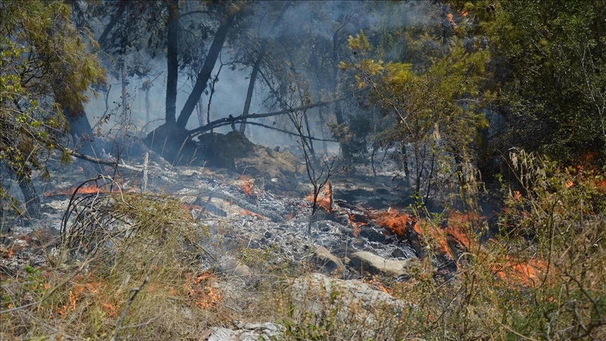 Požari širom BiH