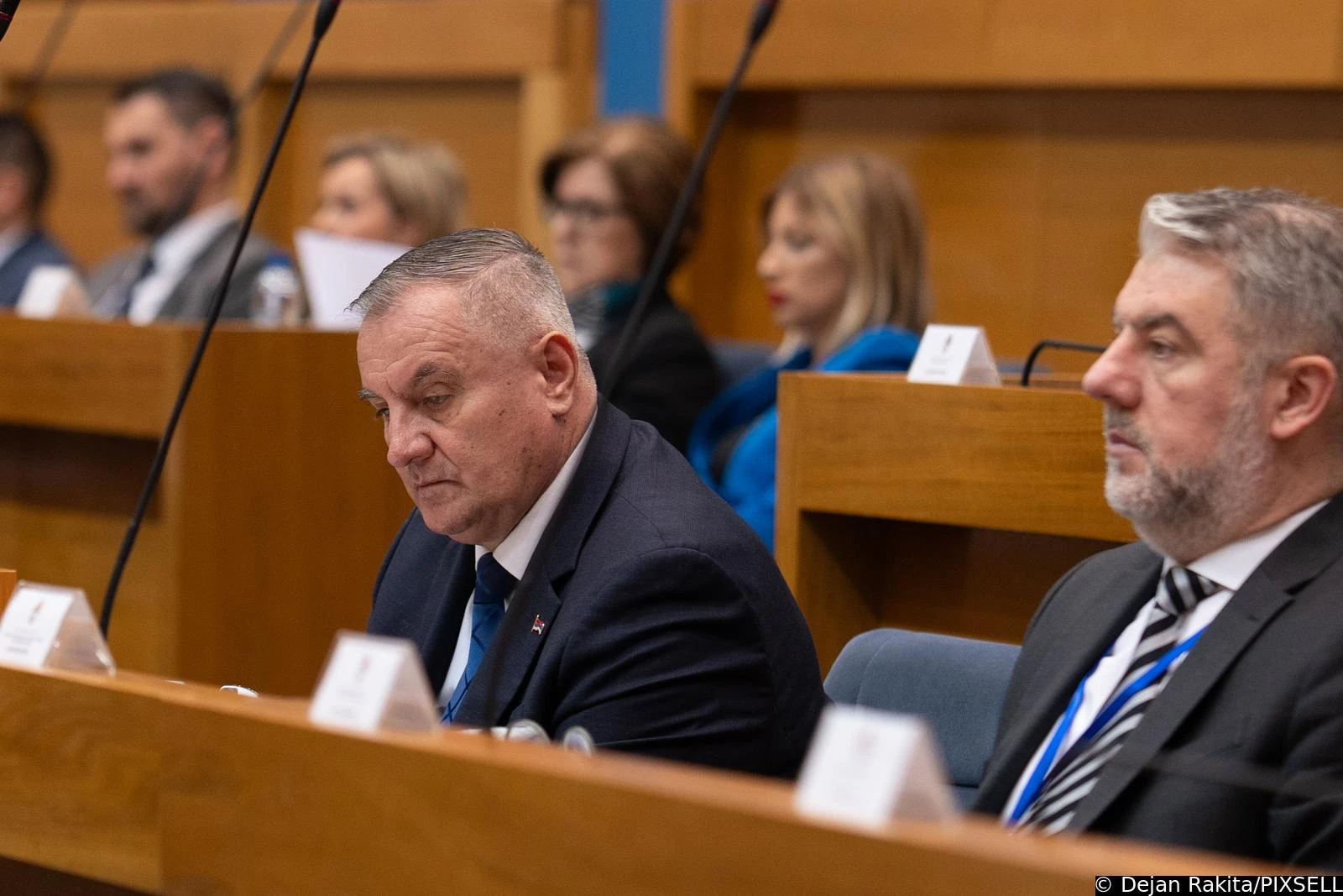 Radovan Višković