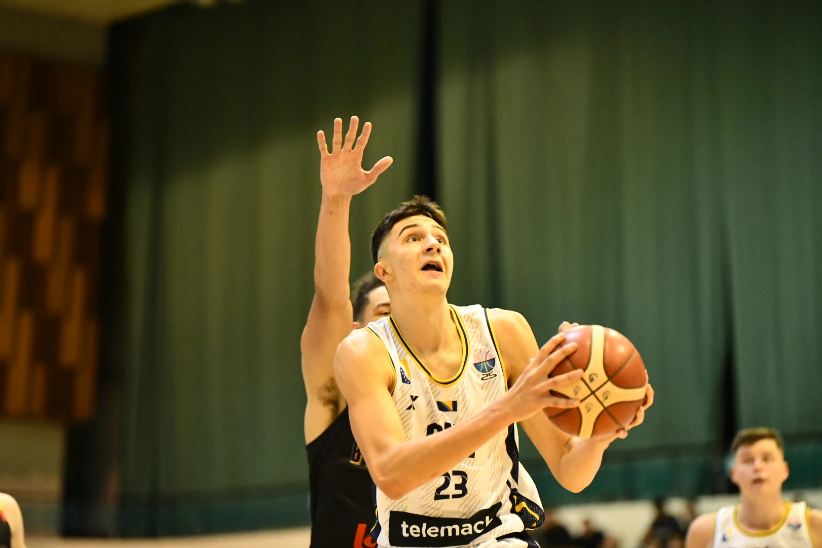 Tarik Hrelja
