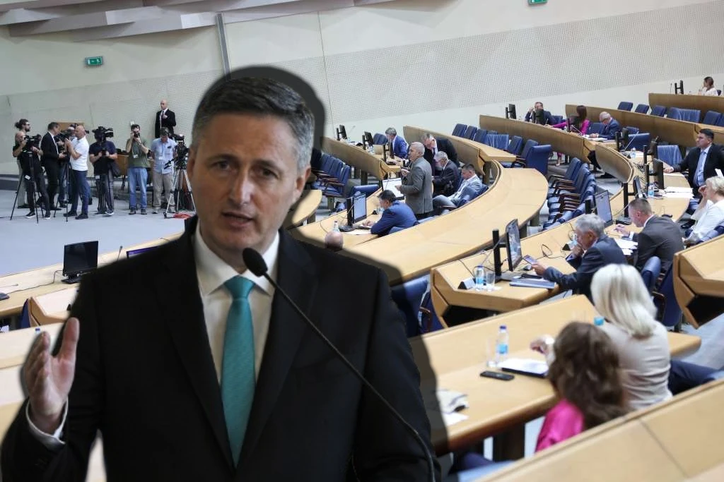 Denis Bećirović / Zastupnički dom BiH