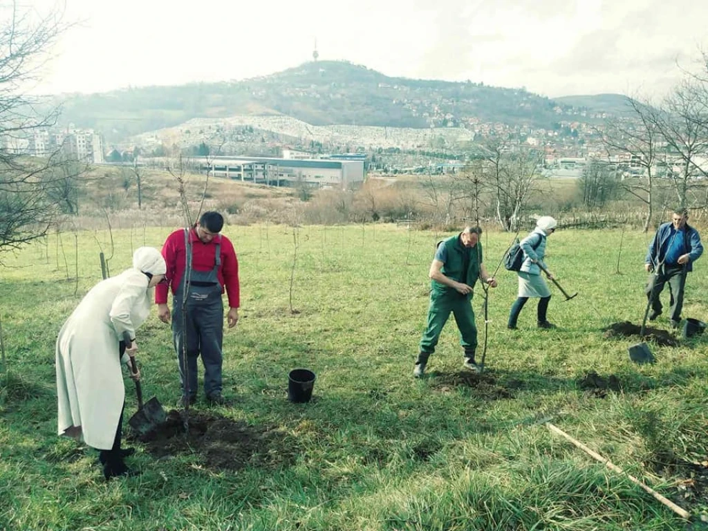 KJKP Park i sadnja drveća