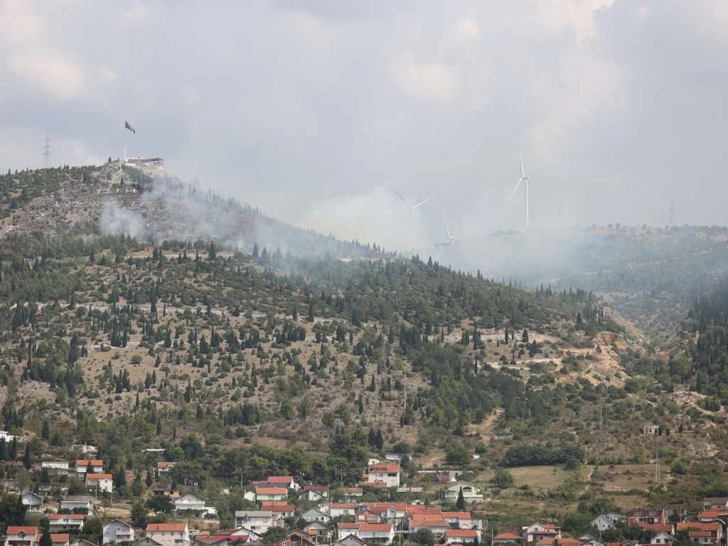 Pošumljavat će područja pogođena požarima
