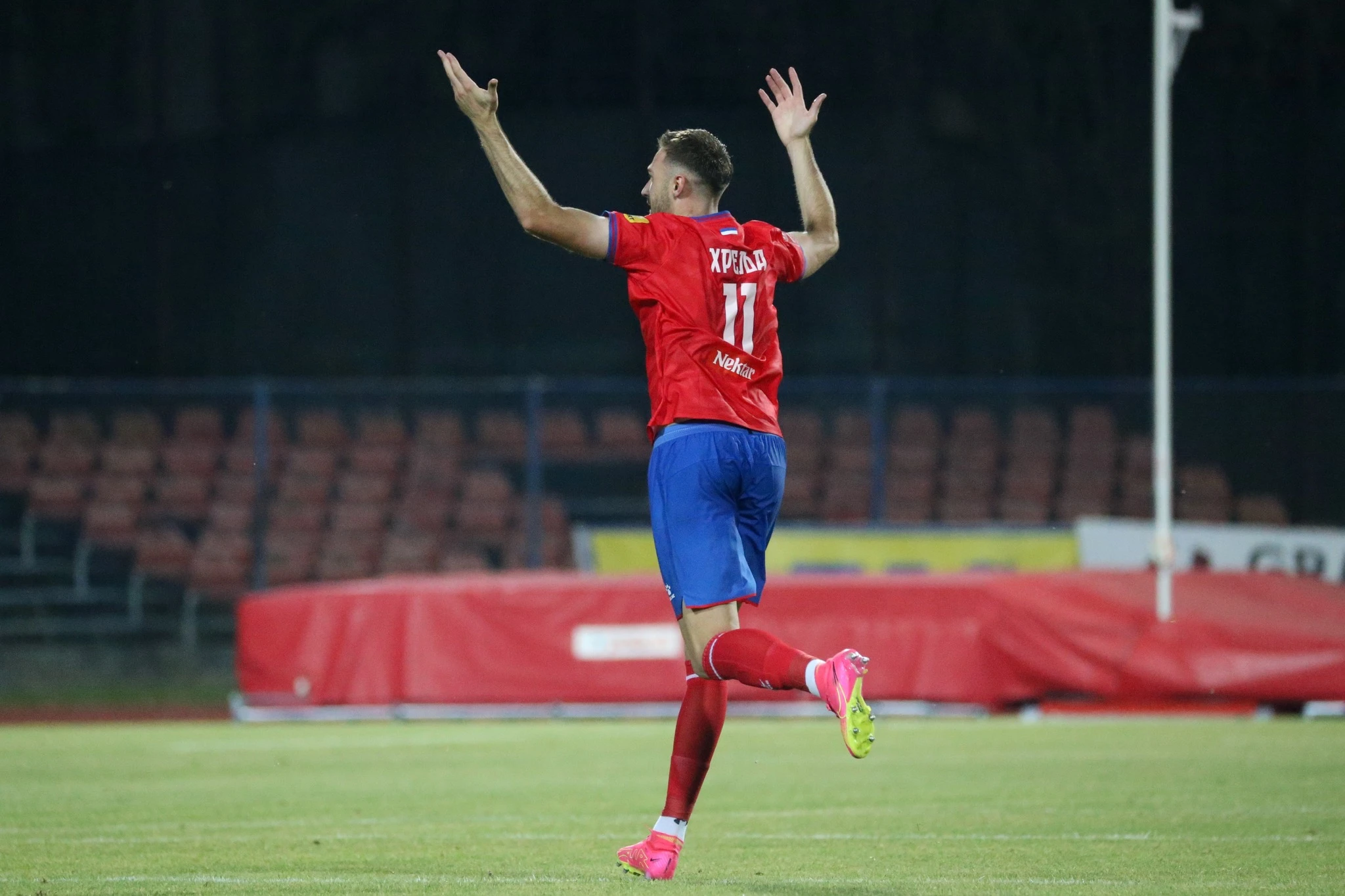 Damir Hrelja