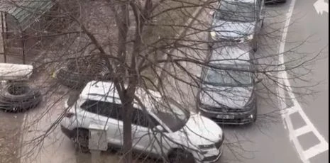 Autom na zelenu površinu