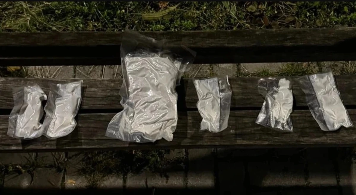 Zaplijenjena droga
