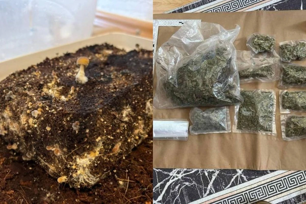 MUP KS uhapšen u Novom Gradu, pronađena laboratorija, kilogrami marihuane, “lude gljive”…