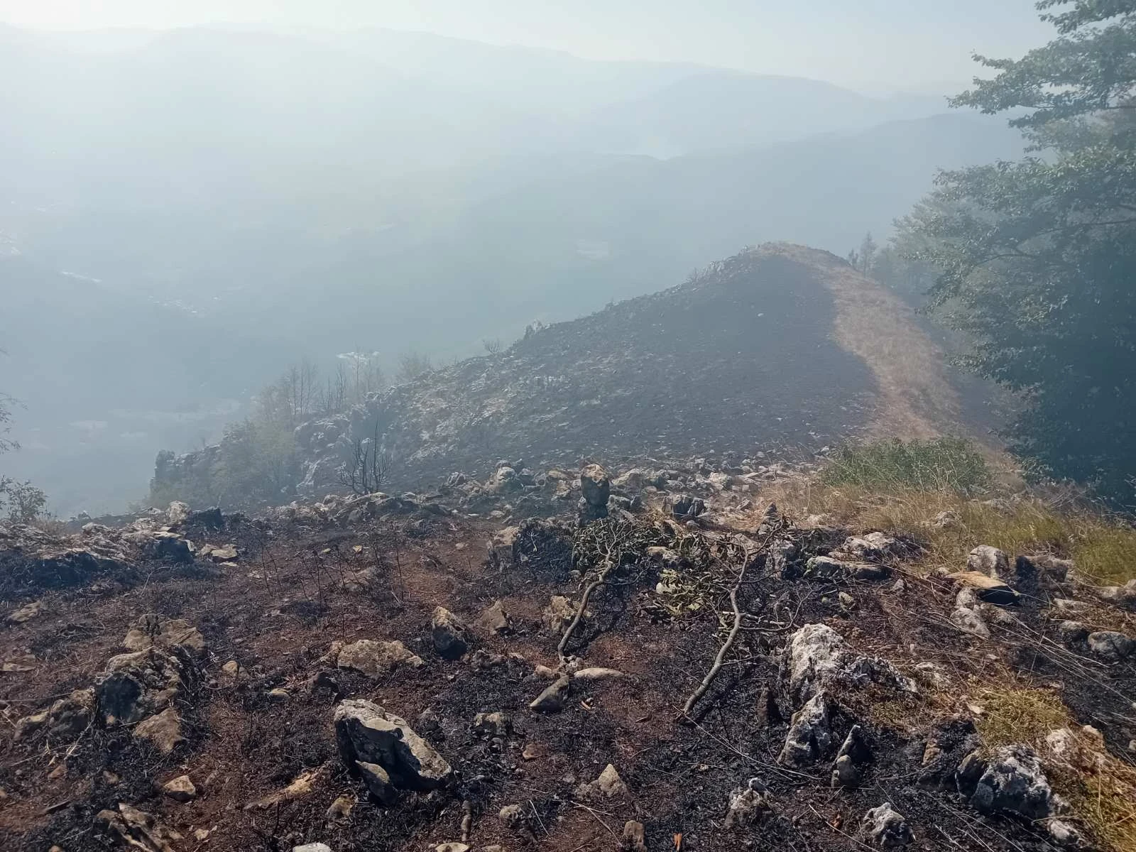 Požar je aktivan već nekoliko dana