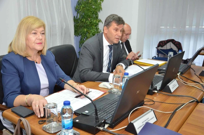 Jelka Milićević, Fadil Novalić