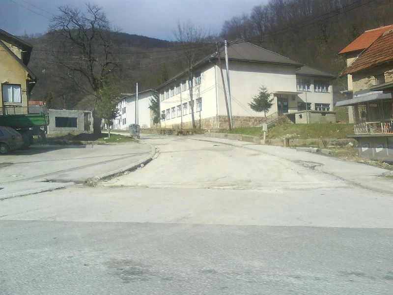 Bradina 
