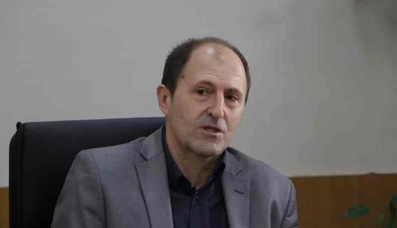 Mario Nenadić