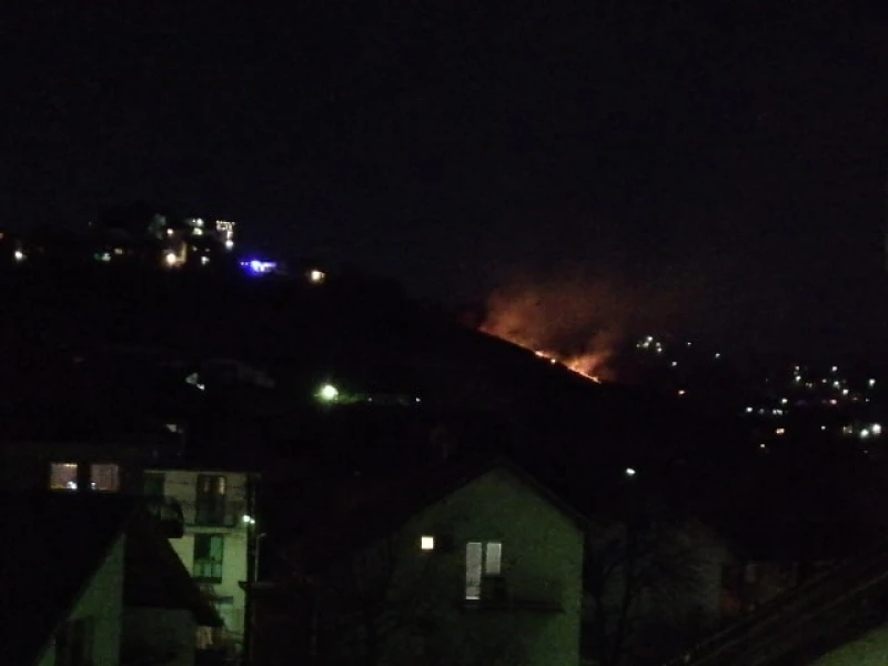 Požar se širi zbog vjetra i šiblja