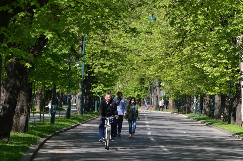 Vilsonovo šetalište 
