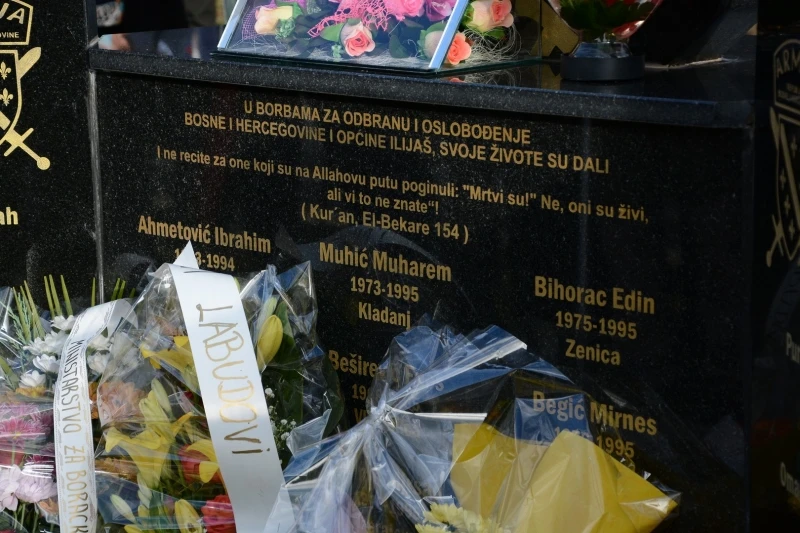Crni labudovi Ilijaš